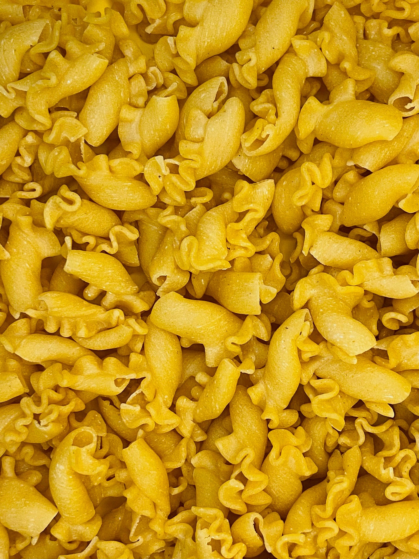 Eiernudeln Glockenblumen 500g