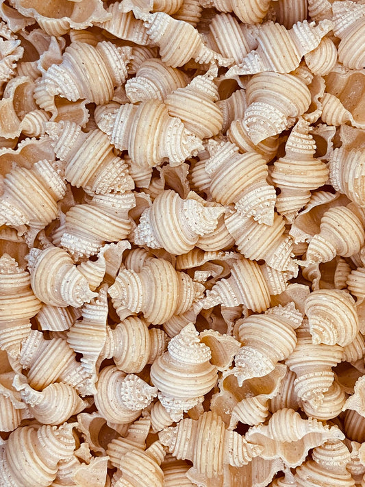 Eiernudeln Muscheln Dinkel hell 500g