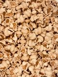 Eiernudeln Muscheln Dinkel Vollwert 500g